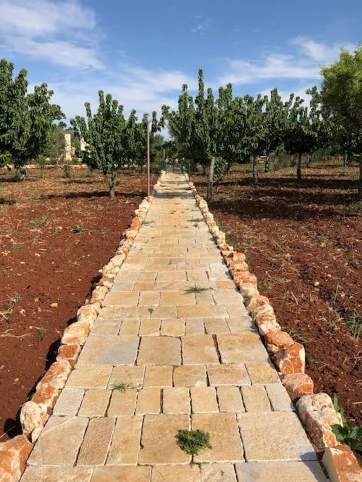 Ulivo Villa Monopoli Ngoại thất bức ảnh