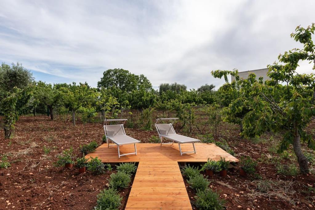 Ulivo Villa Monopoli Ngoại thất bức ảnh