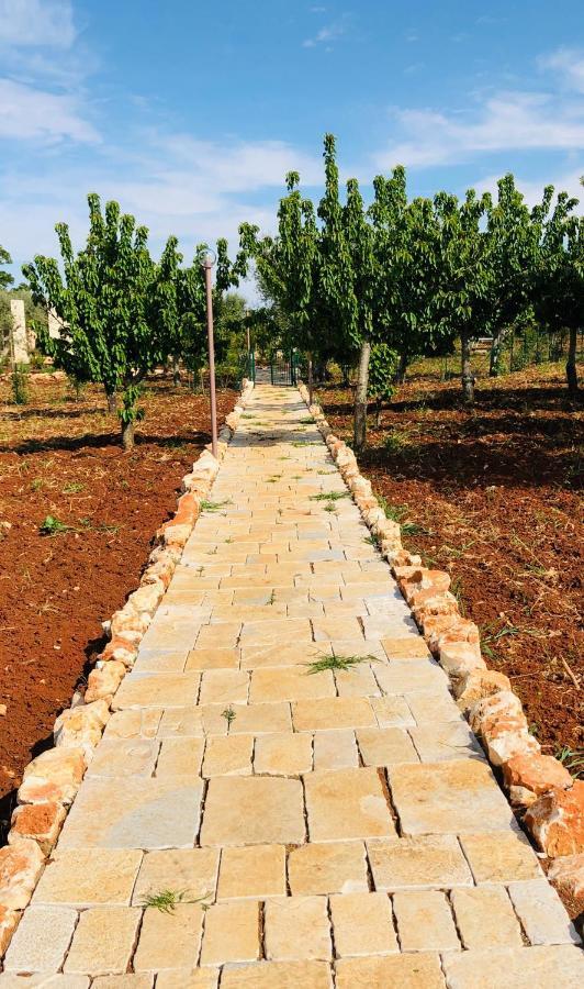 Ulivo Villa Monopoli Ngoại thất bức ảnh